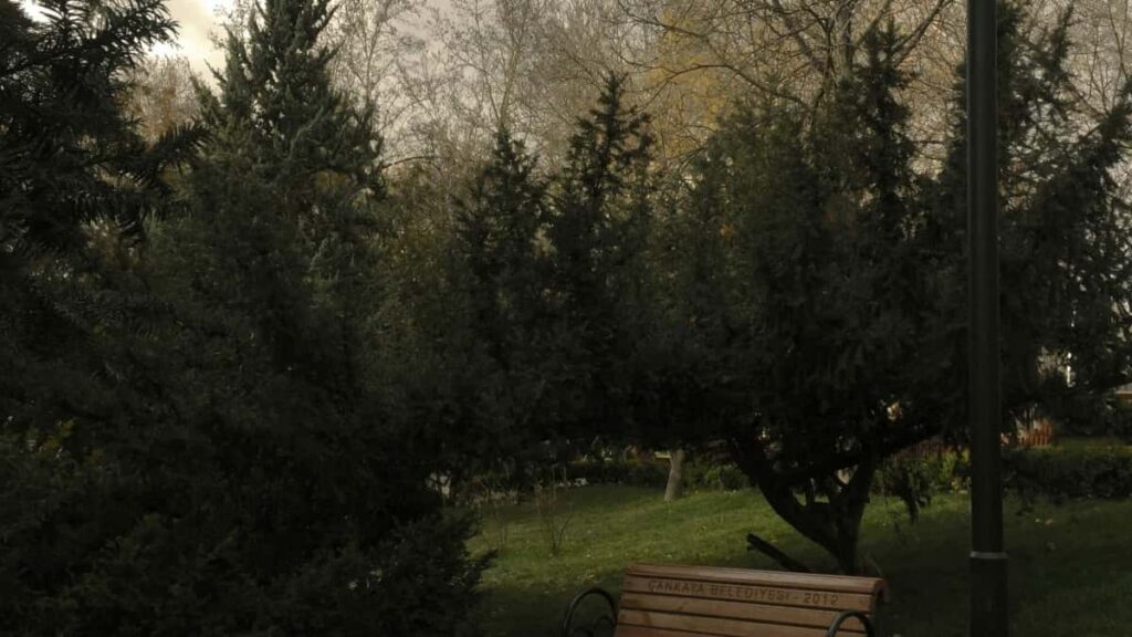 Как TikTok инфлюенсерам из Russia найти сотрудничество с брендами Turkey в 2025 году