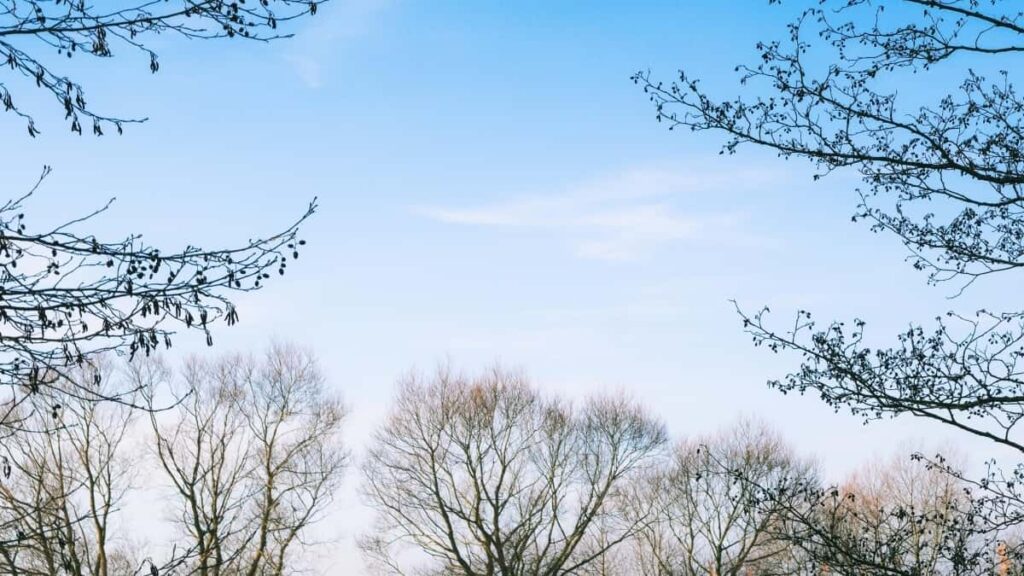 Топ 10 Instagram инфлюенсеров для коллабов в Netherlands