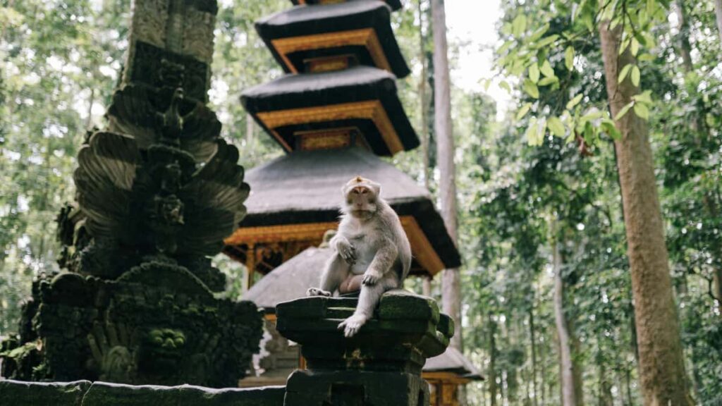 , Douyin.