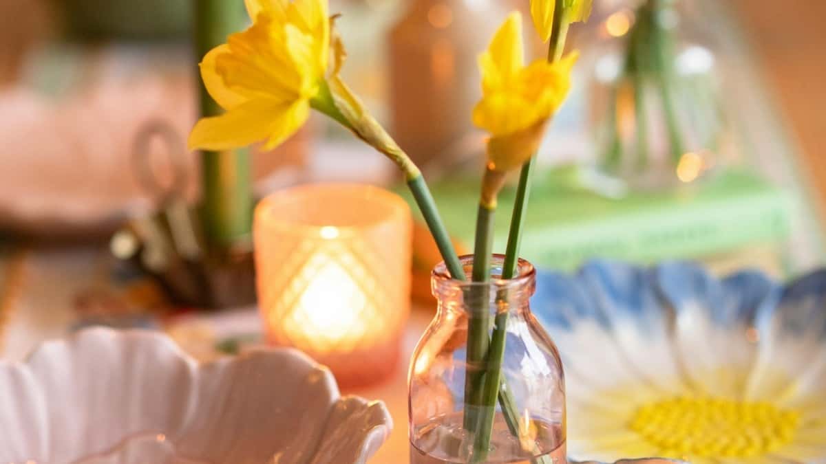 Как финские бренды запускают программы лояльности с инфлюенсерами на OnlyFans