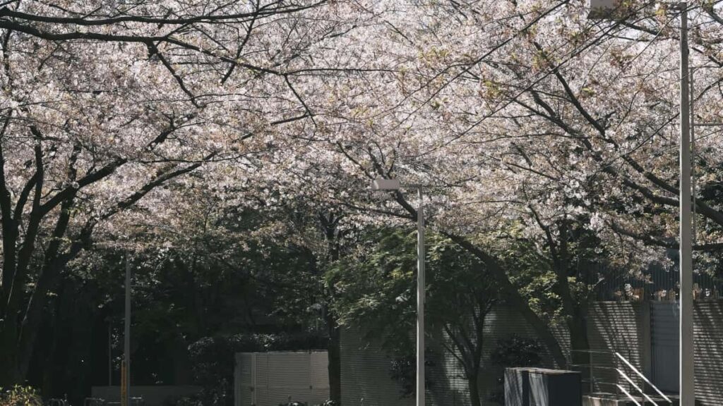 , Instagram- - - .