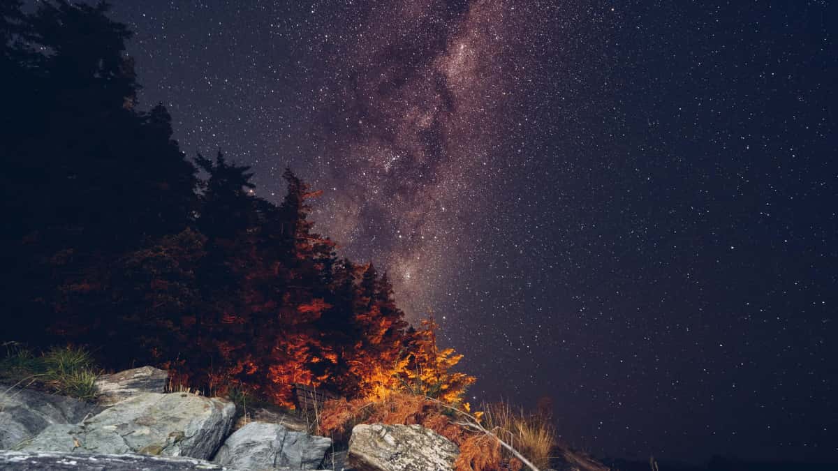 Как найти нигерийских Takatak-креаторов для продвижения wellness через инфлюенсеров
