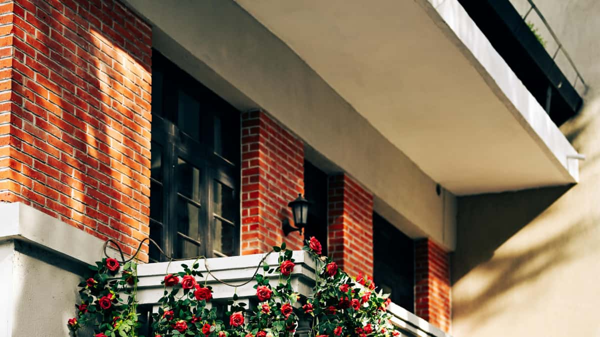 Достучаться до брендов Вьетнама в Clubhouse