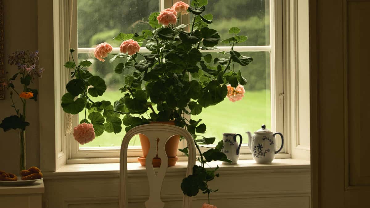 Креаторам: как выйти на аргентинские бренды на Etsy