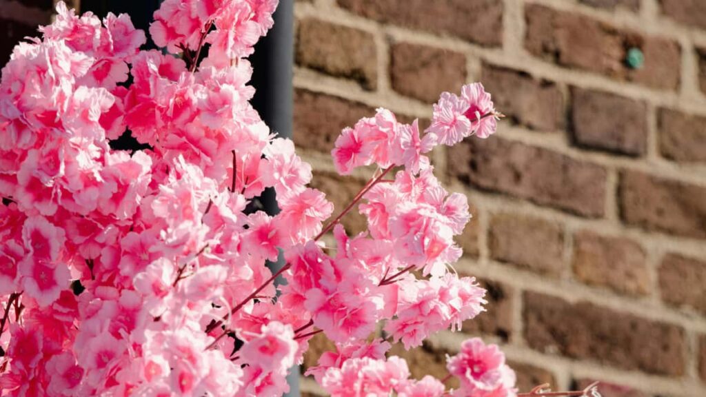 : Malaysia Line , ; , .