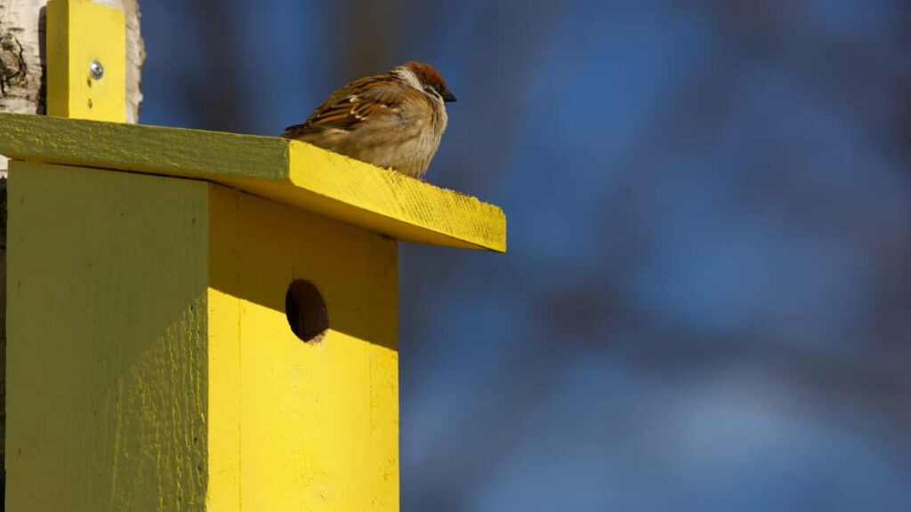 : Josh, clean beauty-.