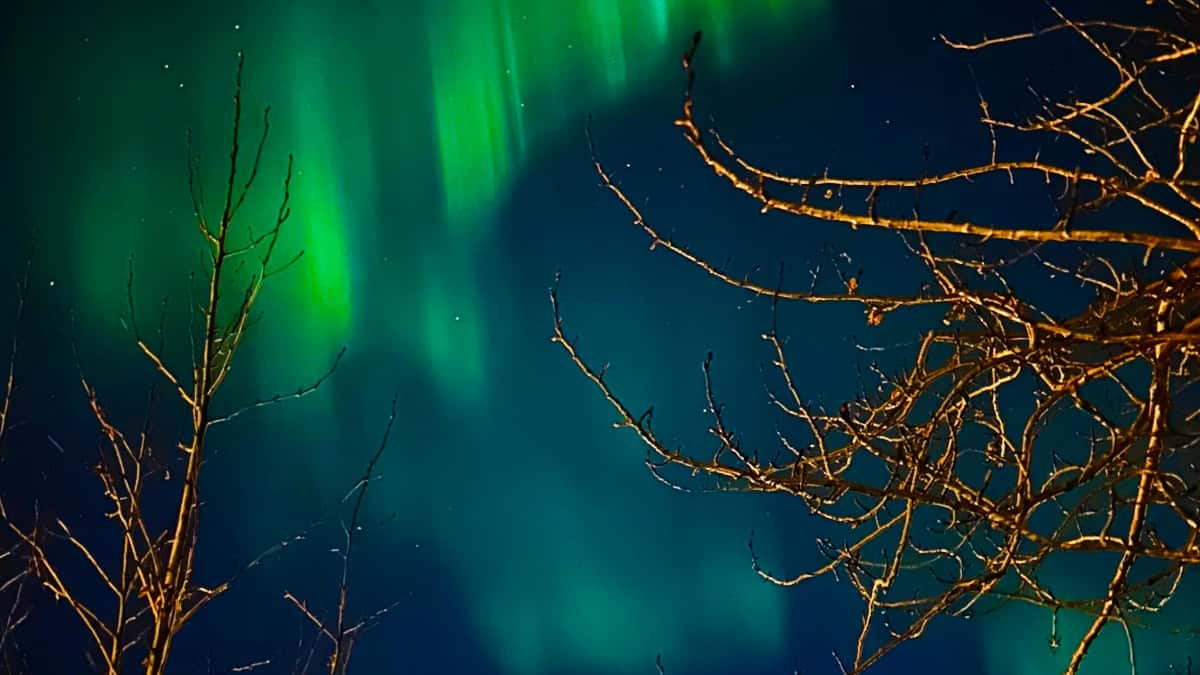 Бренды РФ на HBO Max: как продавать курсы