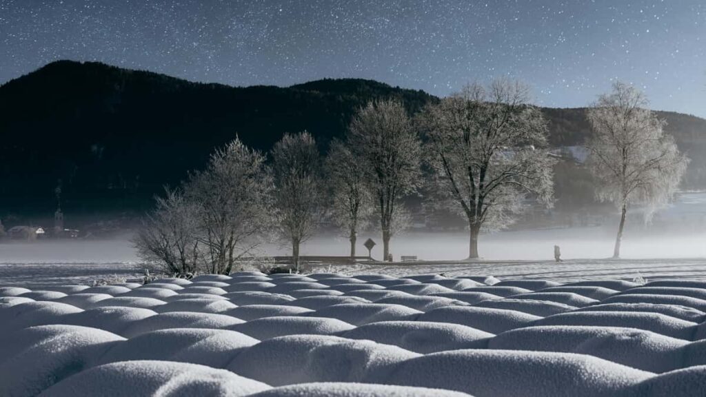 : X (Twitter), WhatsApp Facebook, .