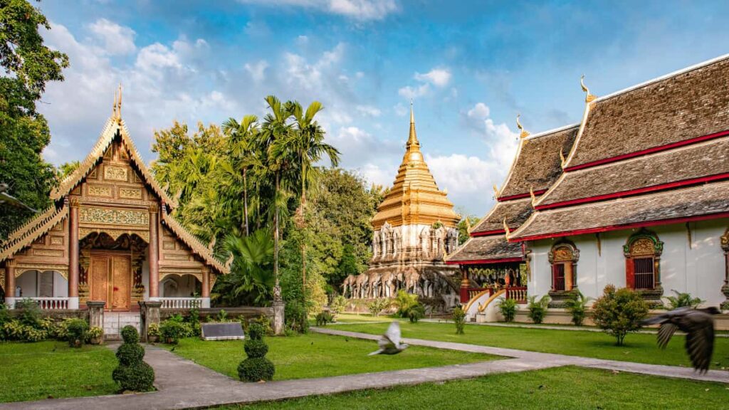 : Etsy - TikTok Reels.