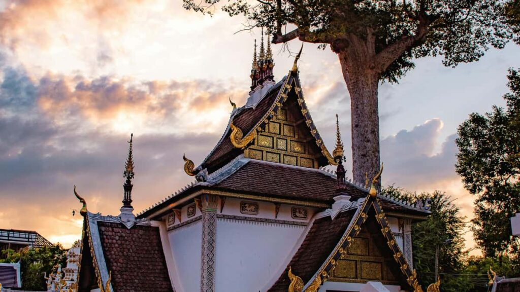 : (TikTok/Amazon) , , KPI .